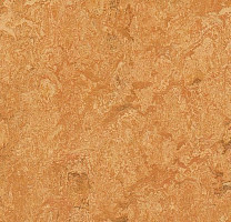 Линолеум Forbo Marmoleum Marbled Real 3174 Sahara фото 1 | FLOORDEALER